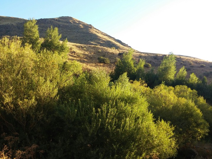 mountains and the woods