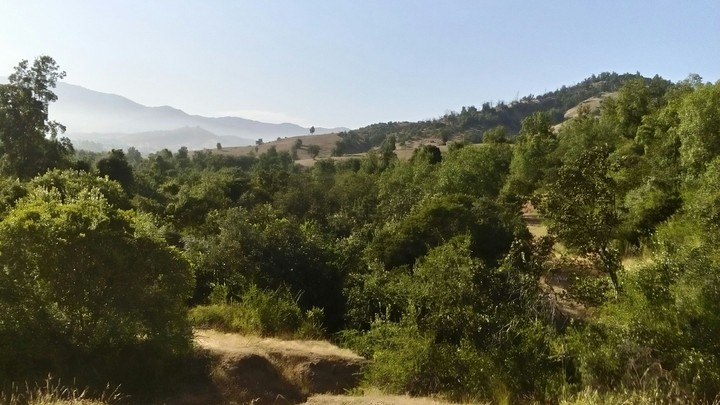 cerro