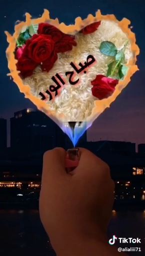 صباح النور
