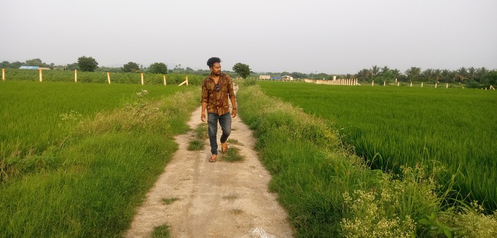 Nature