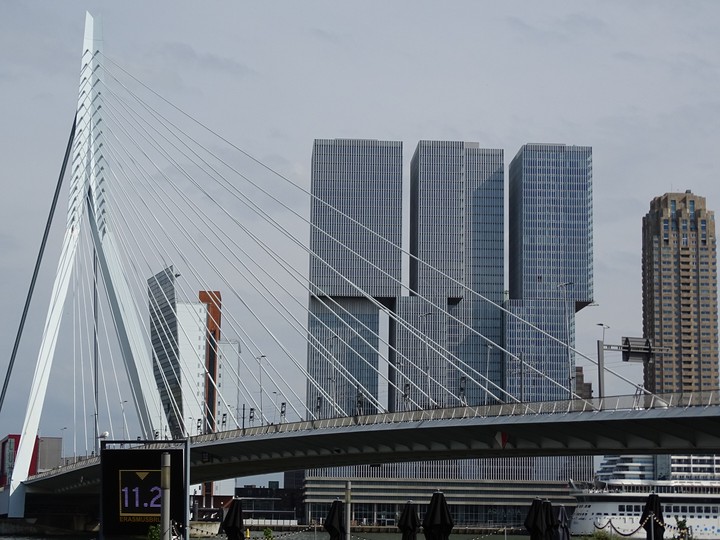 the city