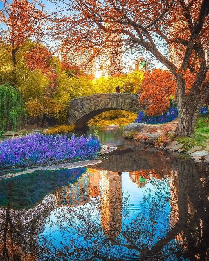 colorful