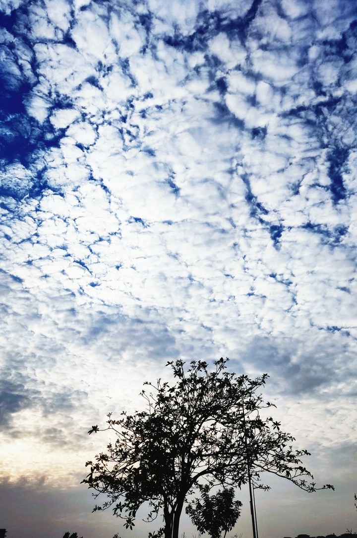 Cumulus