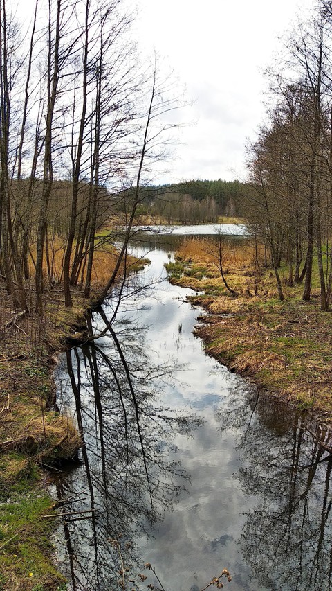 Early spring