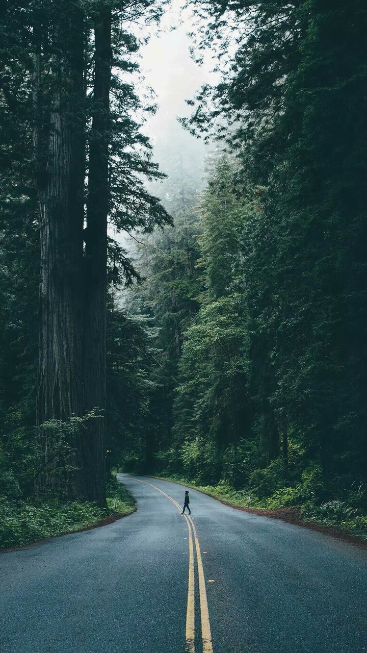 road to.........