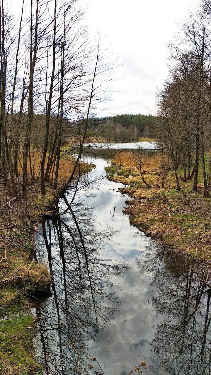 Early spring