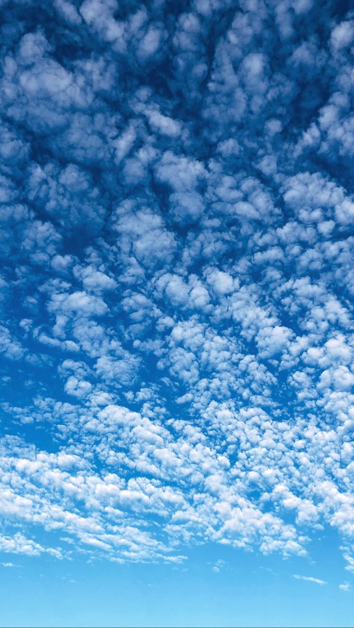 the sky