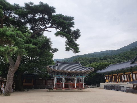 힐링