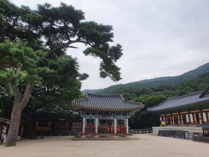 힐링