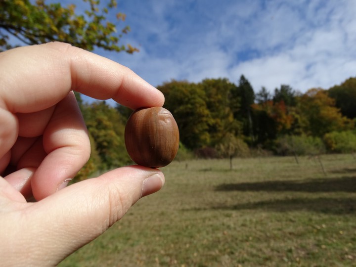 Autumn