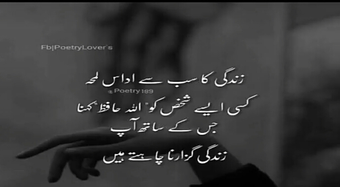❤️ ❤️ Allah hafiz