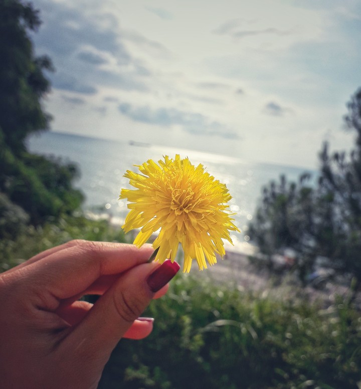 Black sea