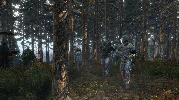 DayZ