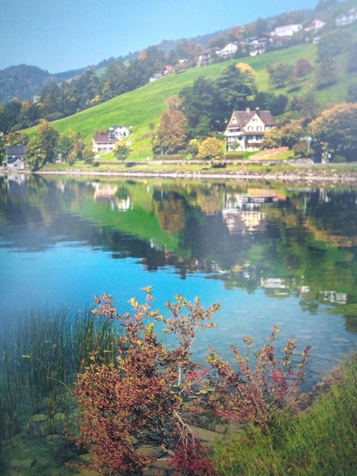 lake again