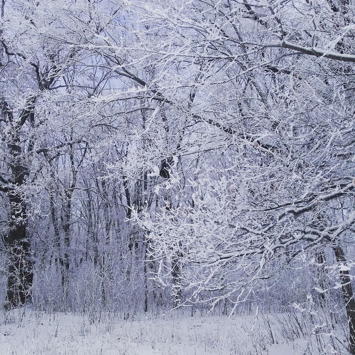 зима