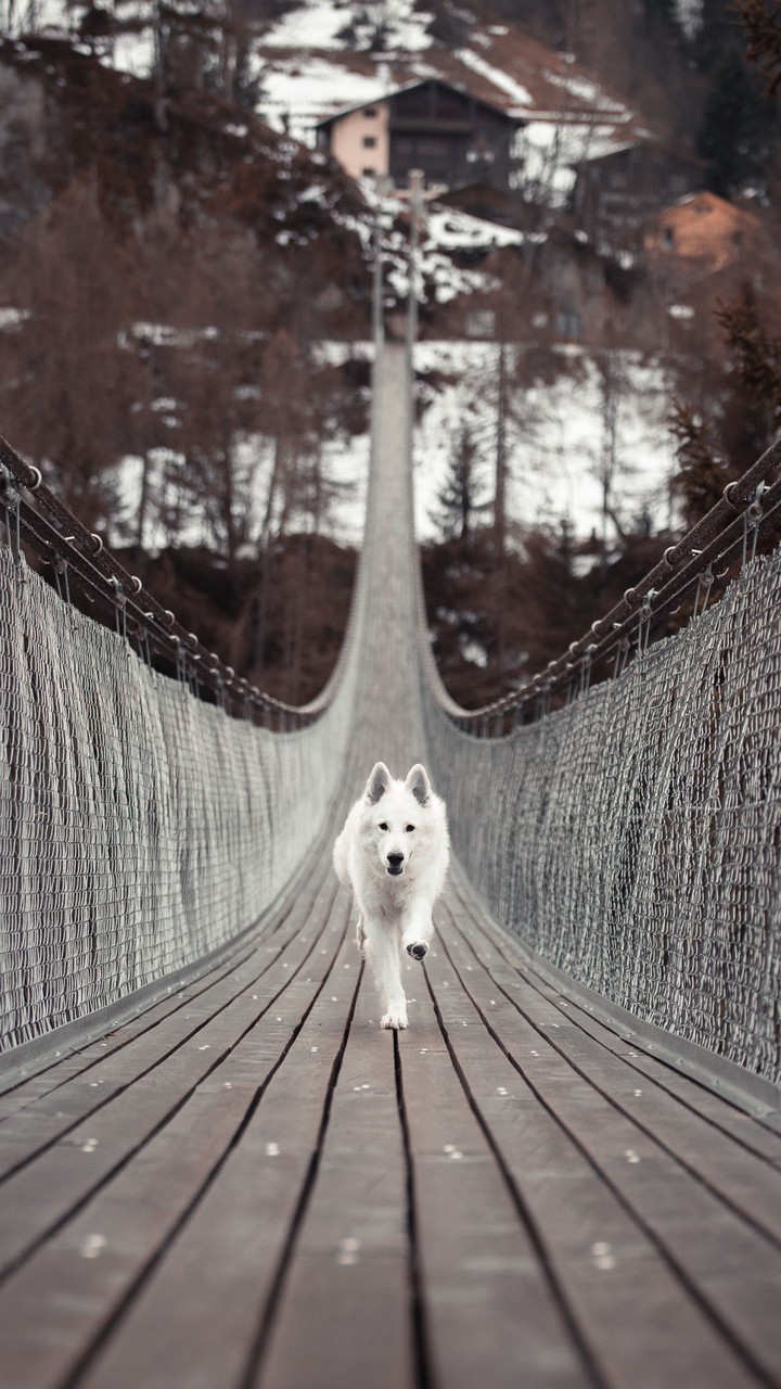 ♥