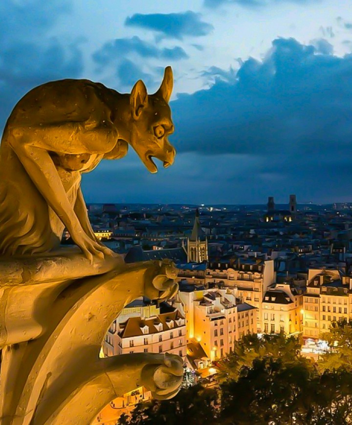 A Gargoyle In Paris