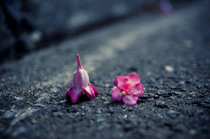 Abandoned