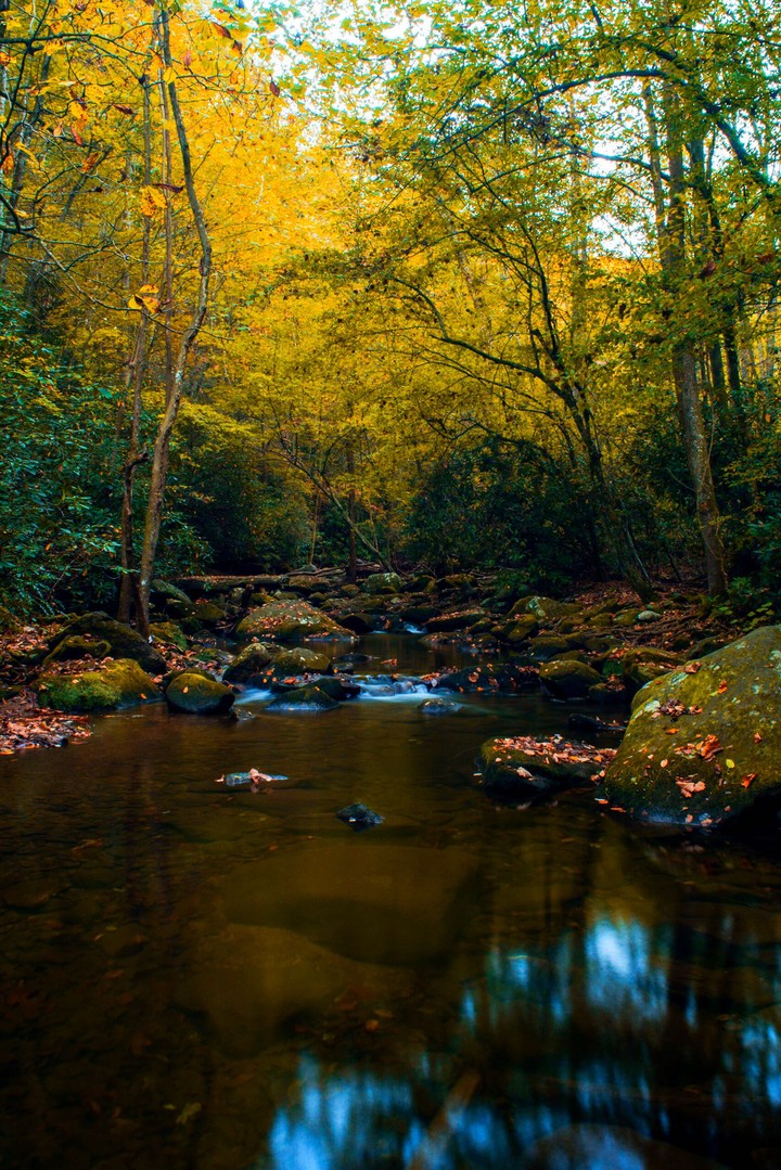 Suave otoño