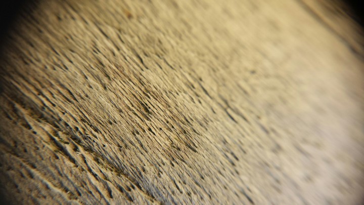 Wood