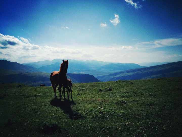 Talesh mountains