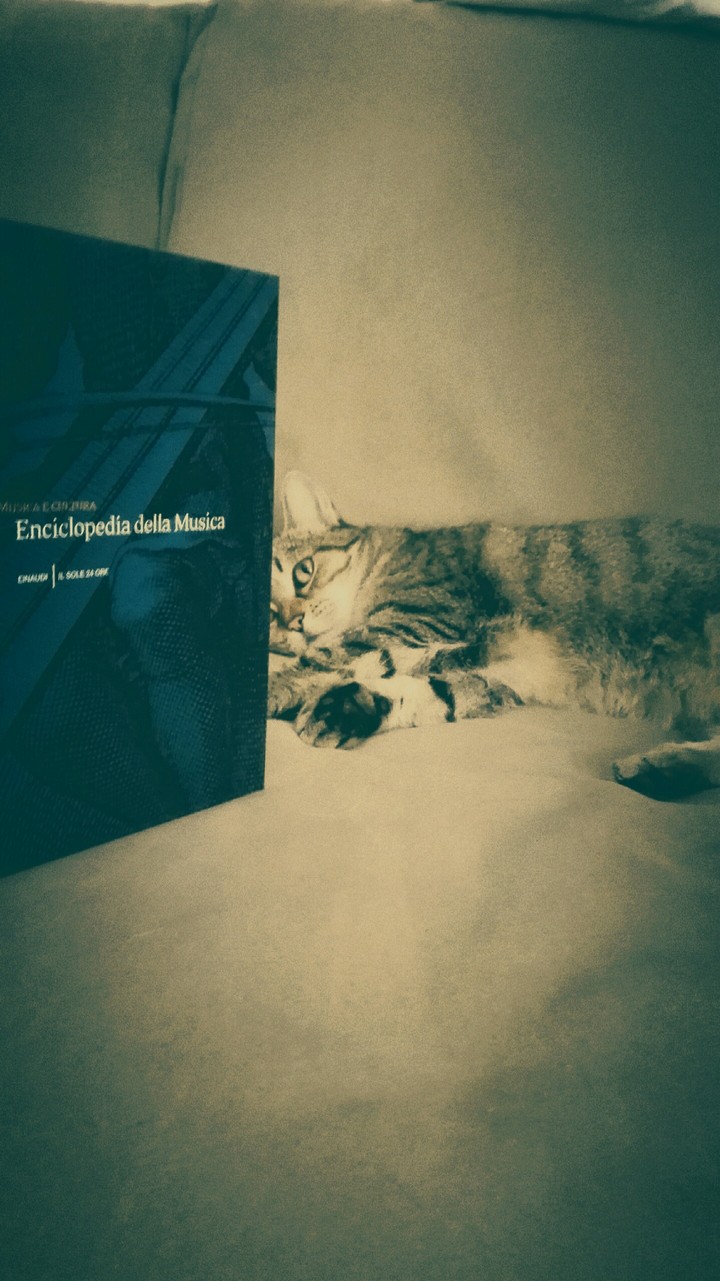 vintage cat