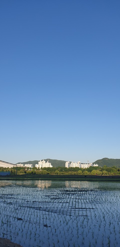 Blue, Water, Daytime
