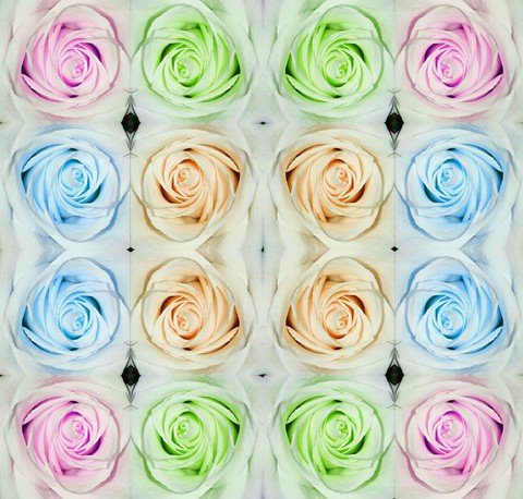 tableau de fleurs