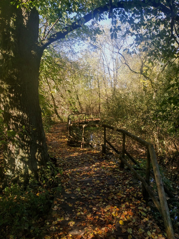 autumn
