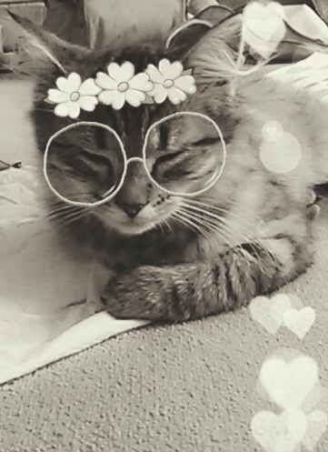 posey