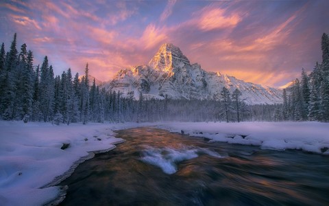 winter