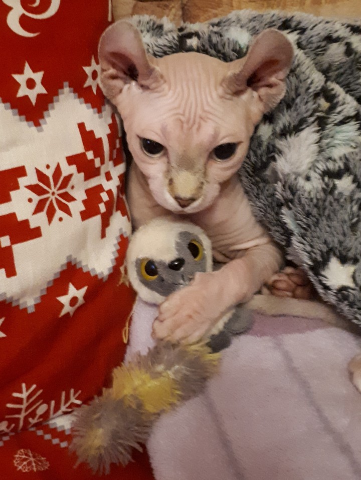 Милота)))