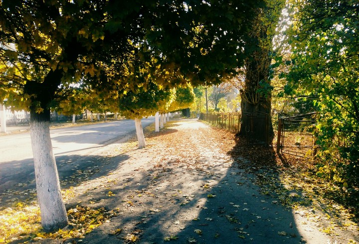 Ранняя осень
