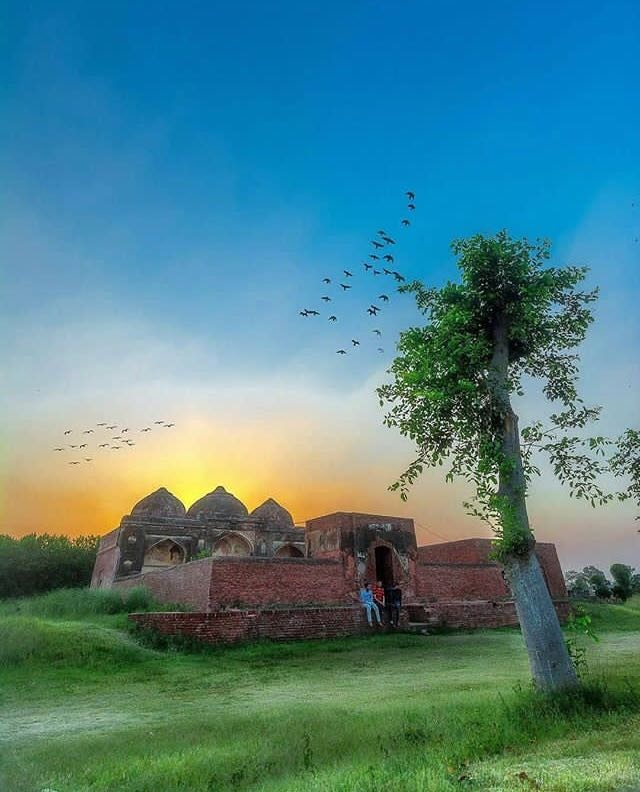 An evening view with friends
