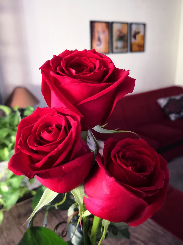 roses