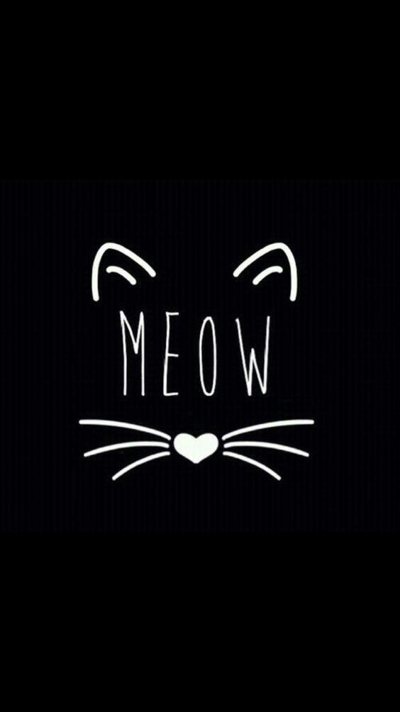 meow