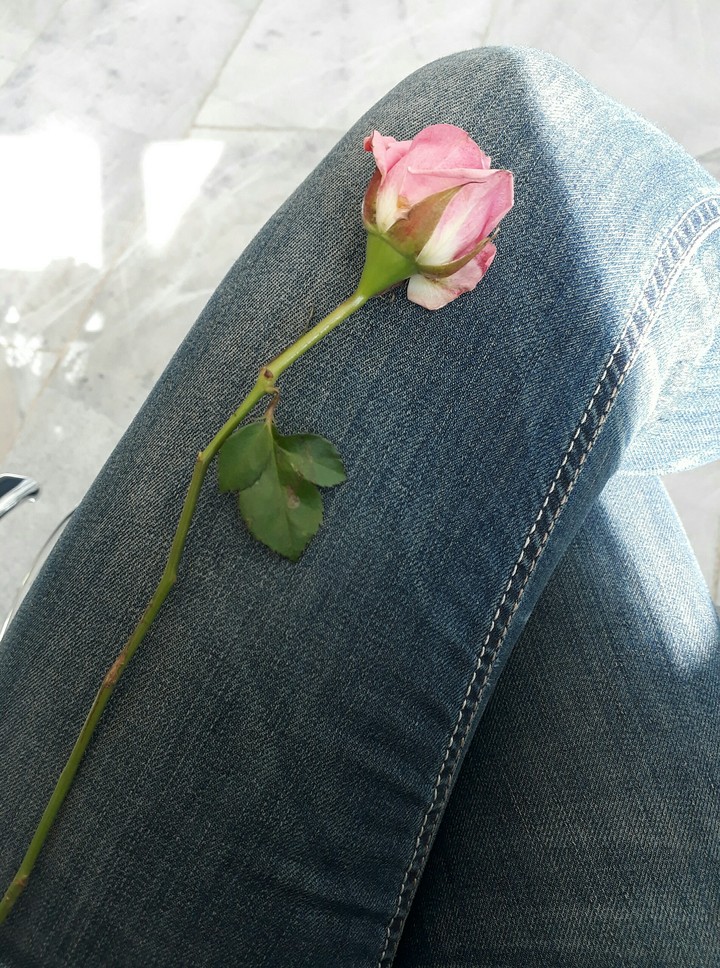 #single #small #pink #rose #jeance