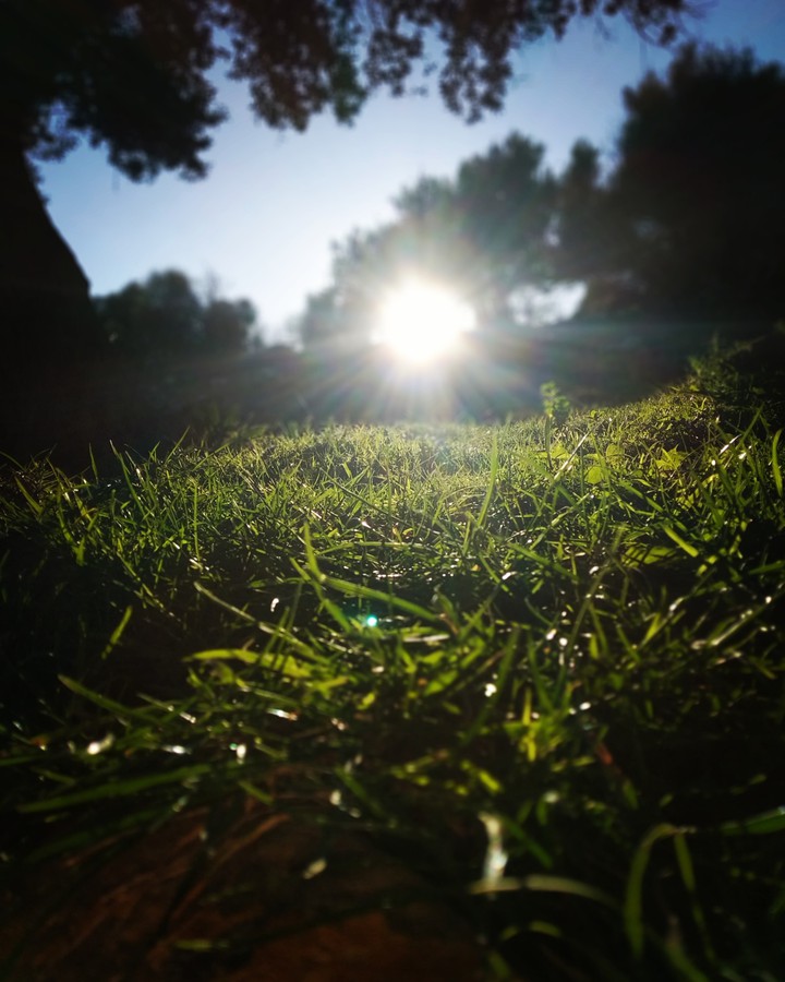 sunshine ??