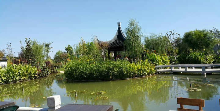Chinese