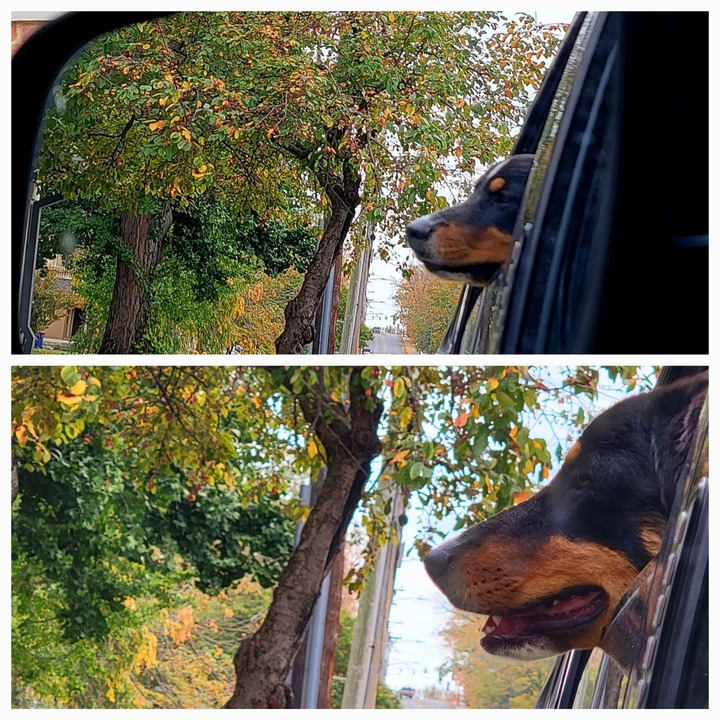 .