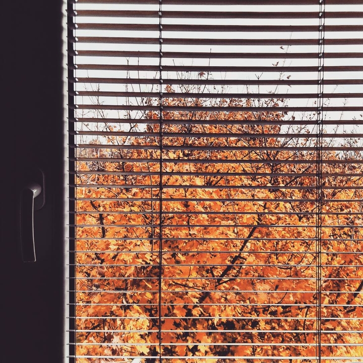 autumn