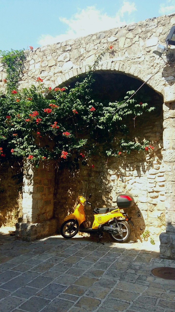 beautiful bike