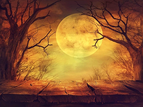 moon, branch wallpapers