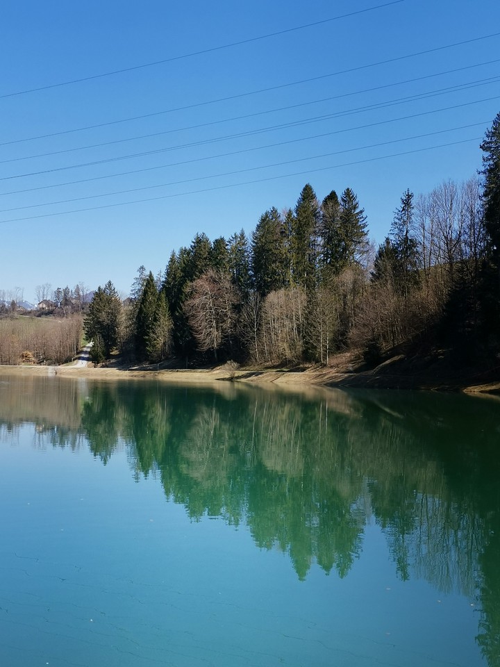 naturemirror