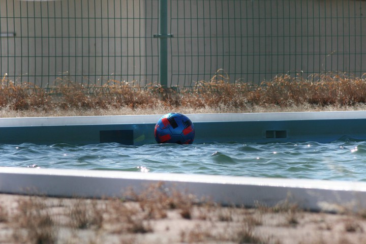 ボール