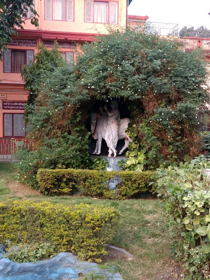 Hidden krishna...