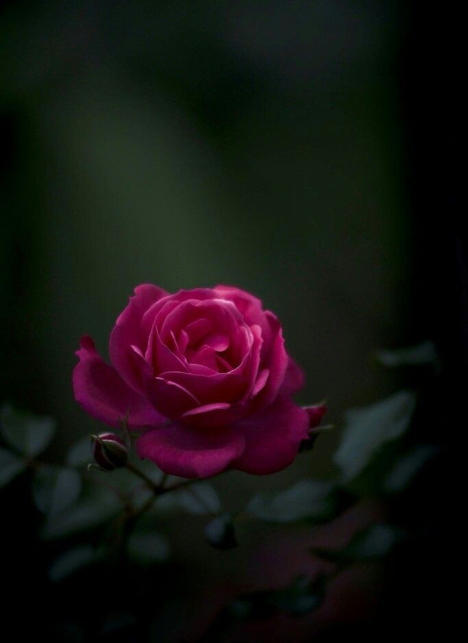 ❤