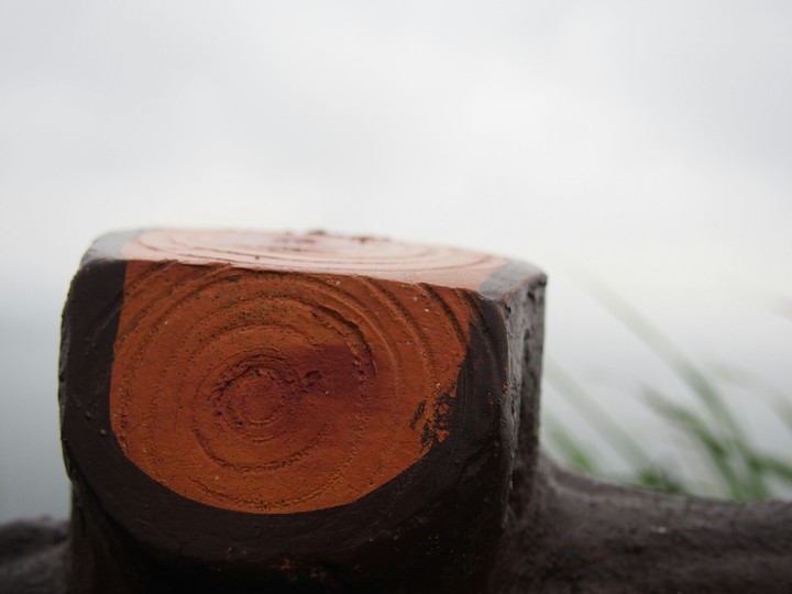 wood