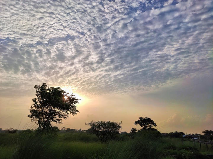 Bangladesh