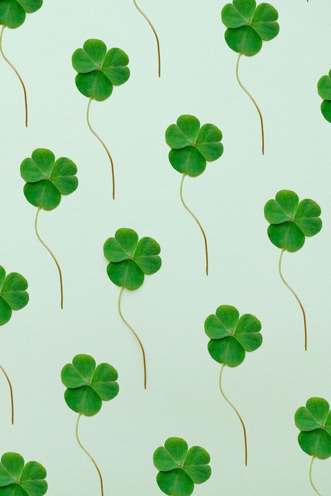 sfondi green, Clover